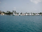 IMG_0393.JPG