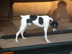 S6300225.JPG