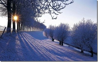 Windows 7 Wallpapers