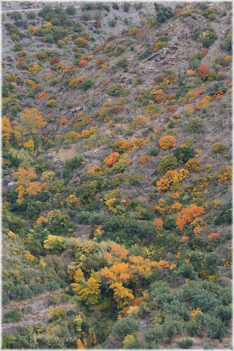 640xIMG_9576.jpg