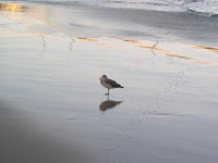 P9150004.JPG