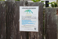 normal_bodega_bay-027.jpg