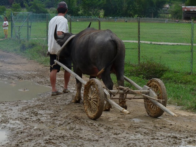 [real offroad[2].jpg]