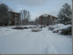 Snow Fal in MN (4)