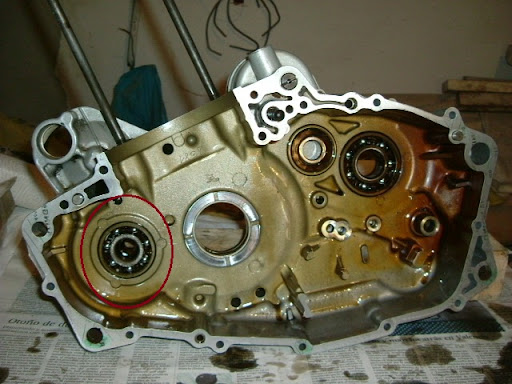 DSCF0664.JPG