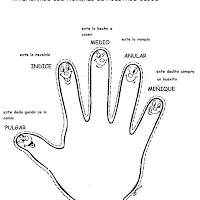 Dedos_mano[3].jpg
