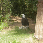 San Marcos Zoo 2011