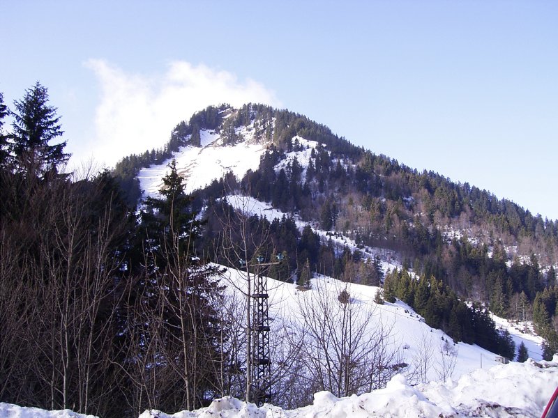 Rimg0037.jpg