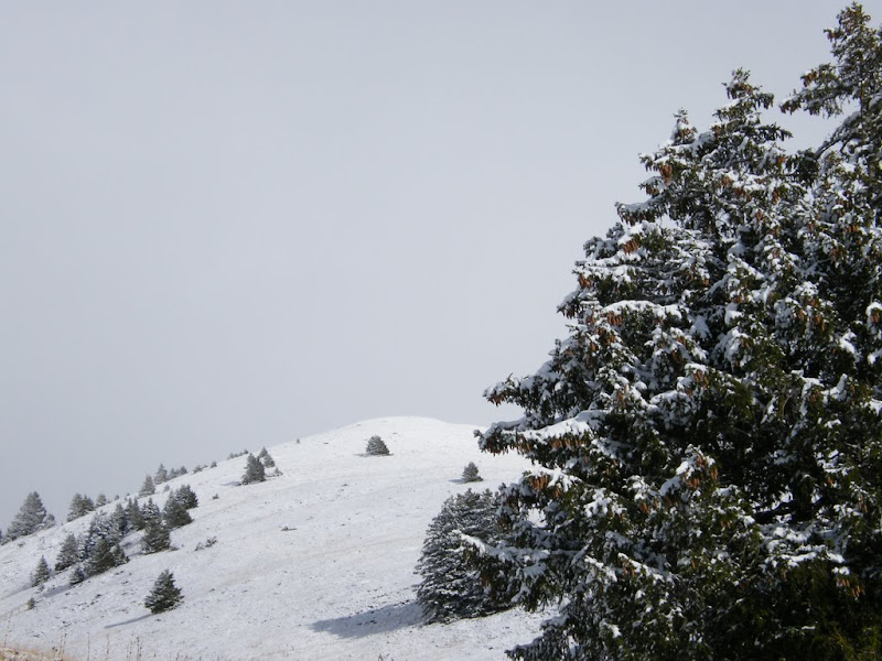 DSCF2391.JPG