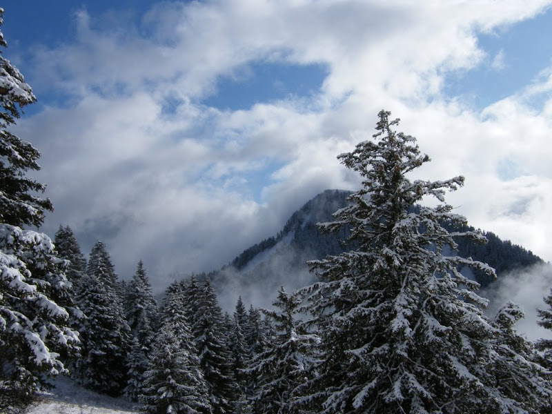 DSCF2393.JPG