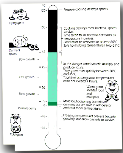 bacteria vs temperature