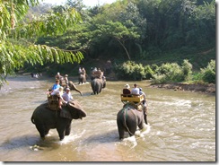 Elephants River