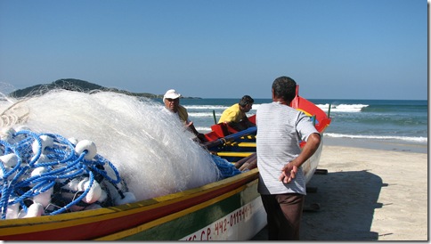 IMG_3490 IMG_3490