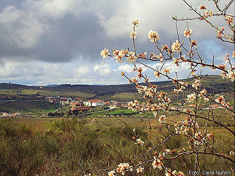DSC02837 DSC02837