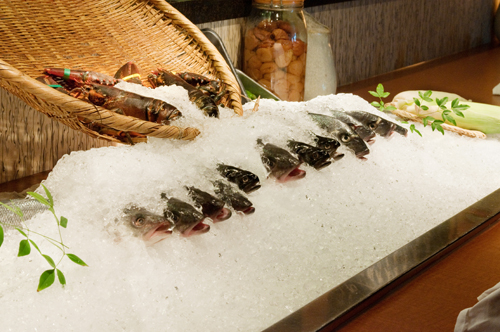 Fresh fish on ice, waiting to be served
