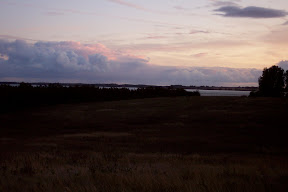 DCP_2774.JPG