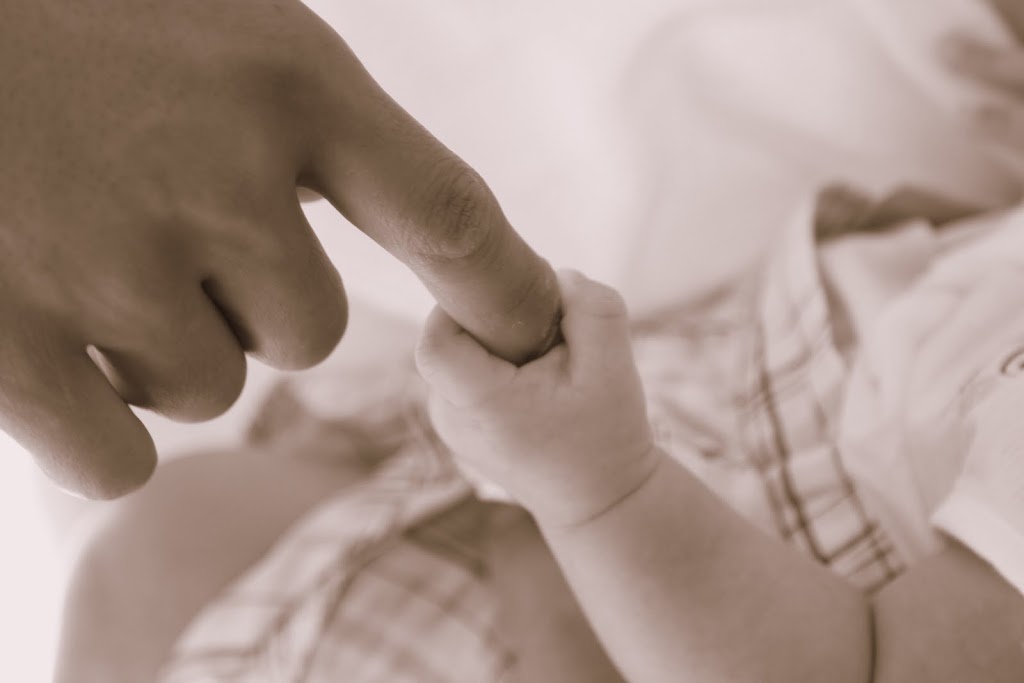 IMAGE: http://lh3.ggpht.com/_w9jT_GnjZSc/TIpSRG809bI/AAAAAAAABe0/IvUT3odMTO0/s1024/_MG_9992.JPG