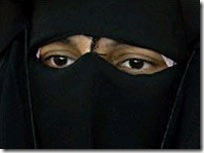 veil2009