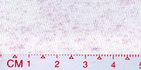 DOT-0004(BLEACHED BY BUYER)