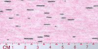 STAR 0048A