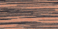 ZEBRA0013