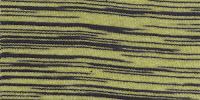 ZEBRA0015
