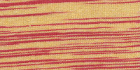 ZEBRA0019