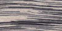 ZEBRA0026
