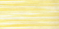 ZEBRA0042