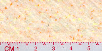 NEP-0125V-Raw-White