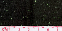 NEP-0123U1x1-Black