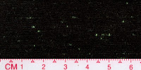 NEP-0123U1x3-Black