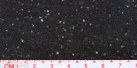 NEP-0124U1x0-Black