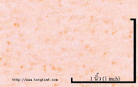NEP-0124U<br />
(Bleached-Orange Luminous)