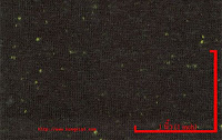 NEP-0124U<br />
(Black-Green Luminous1x2)