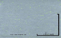 NEP-0124U<br />
(Grey KKZ156-1-Green Luminous1x1)