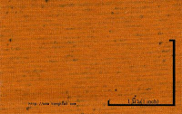 NEP-0124U<br />
(OrangeKK047-Black1x2)