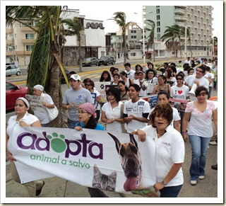 Marcha a favor de los animales octubre (8) Marcha a favor de los animales octubre (8)