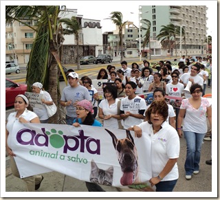 Marcha a favor de los animales octubre (8)