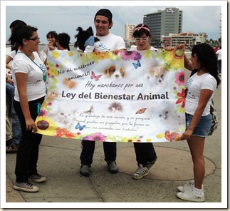 Marcha a favor de los animales octubre (1)