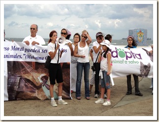 Marcha a favor de los animales octubre (3) Marcha a favor de los animales octubre (3)