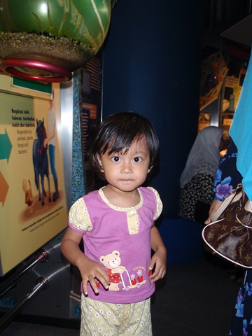 [PC1800272.jpg]