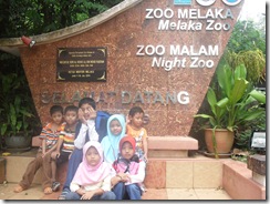 SDC10282