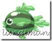 melon melon