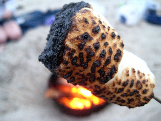 [burnt marshmallows[4].jpg]
