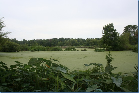 road trip 2009 124