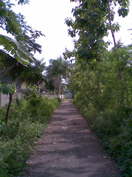 [Image: Foto035.jpg]