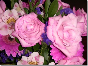 IMG_0428 IMG_0428