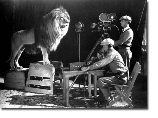 [MGMLION[12].jpg]
