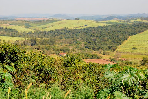 Fazenda Nova Floresta